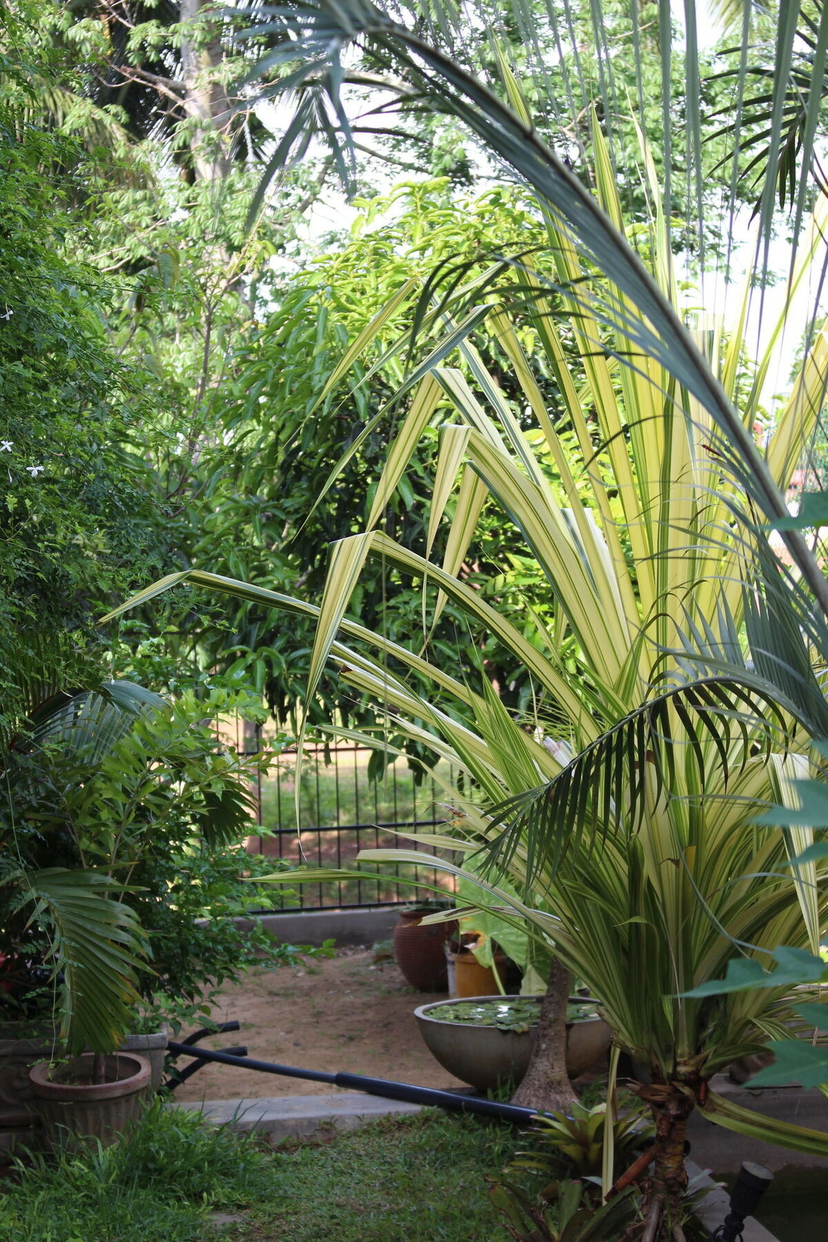 Villa Kapuru Negombo Esterno foto